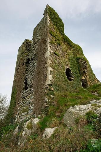 Explore the Castle Ruins