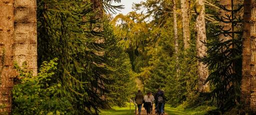 Adventure Playground & Activity Trail