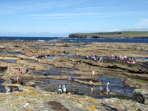 Snorkelling