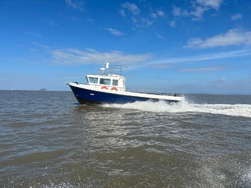 Dolphins & Nature Boat Trip