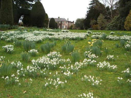 Snowdrop & Seasonal Collections