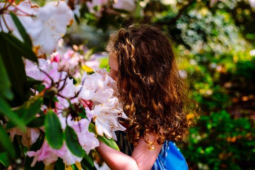 Woodland Garden Walks