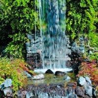 Explore the Waterfalls & Fish Pond