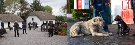 Explore the Thatched Cottages