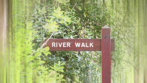 Walking Trails