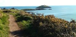 The Short Walk (Ballycotton to Ballytrasna)