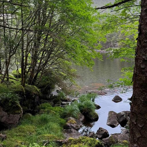 Lough Caum Loop