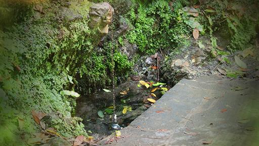 The Wishing Well & Sarah's Well