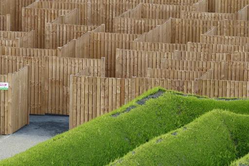 The Wooden Maze