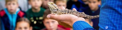 School Tours and Workshops