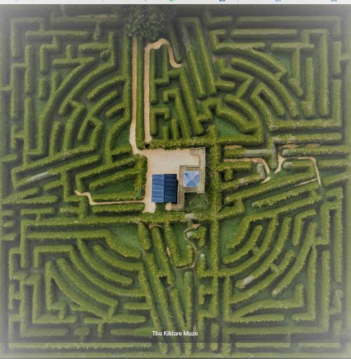 The Hedge Maze