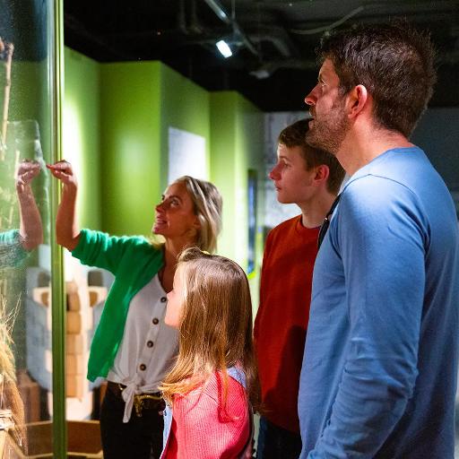 Interactive Exhibition