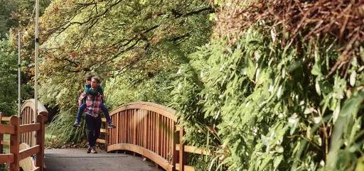 West Lawn & Woodland Walks
