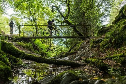 Black Grade Trails (15km)