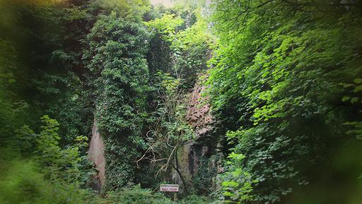 Historical Ruins