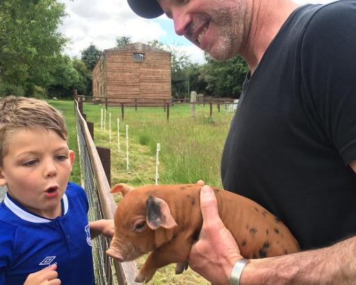 Meet the Farm Animals