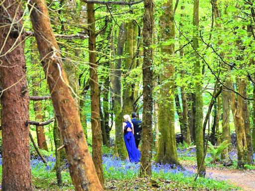 Spring colour and the River Moy
