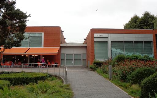 Visit Cork Public Museum