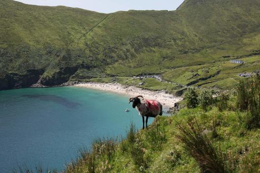 The clifftop drive in