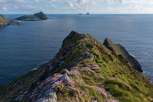 Skellig Michael Landing Tour