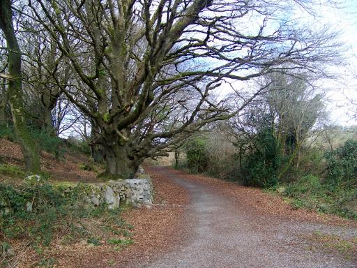 Walk the Pink Route trail