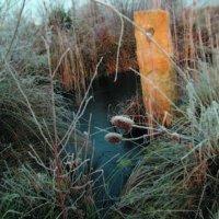 Step into the Stolen Child Garden