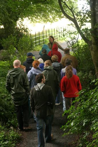 Take a Free Guided Tour