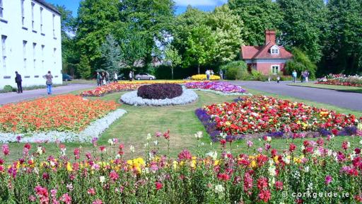 Admire the Rose Garden & Flower Beds