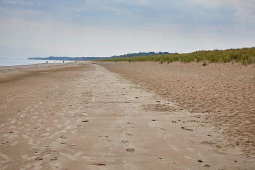 Raven Point Beach