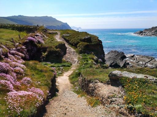 The short headland loop