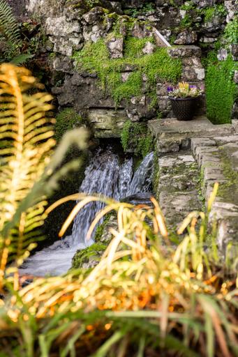 The Holy Well and its waters
