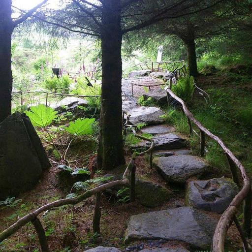Get lost in the fern labyrinth