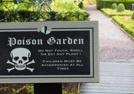 Poison Garden