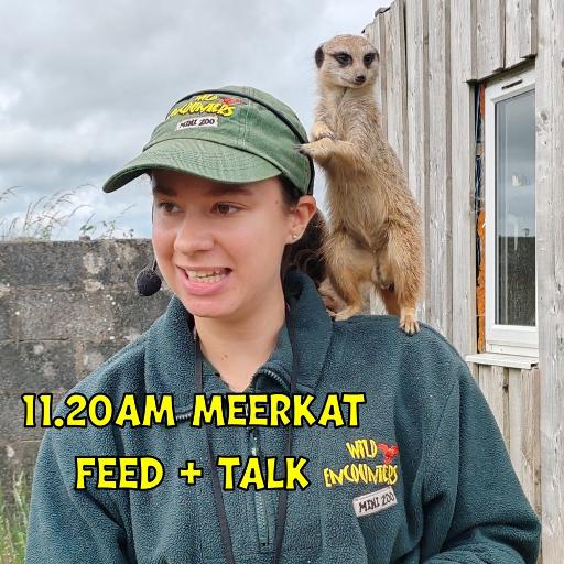 Reptile House & Small Mammal Barn