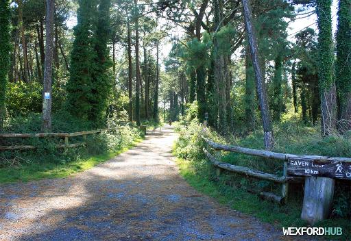 Walk the Raven Point Wood loop