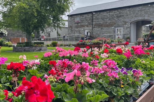 Browse the Garden Centre & Plant Boutique