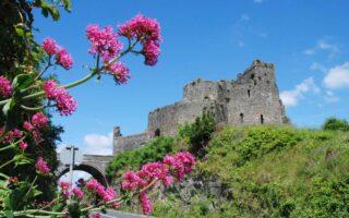 Join a Guided Castle Tour