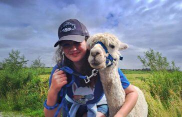 Full Alpaca Experience