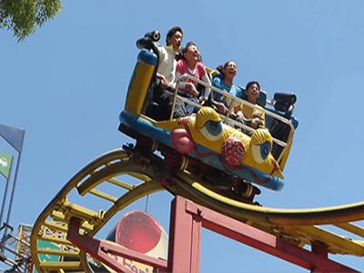Thrill Rides