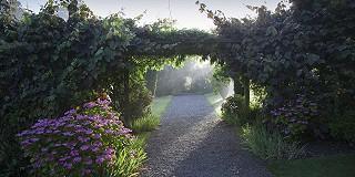 Wander the gardens