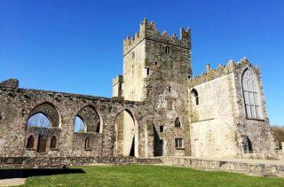 Explore the Abbey Ruins