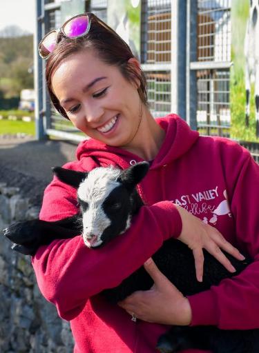 Meet & Cuddle the Animals