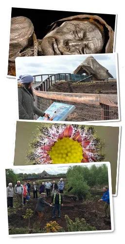 Peatlands Exhibition & Biodiversity Boardwalk