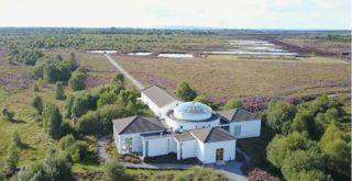 Walk across the bog