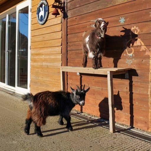 Meet the Whole Farm Family