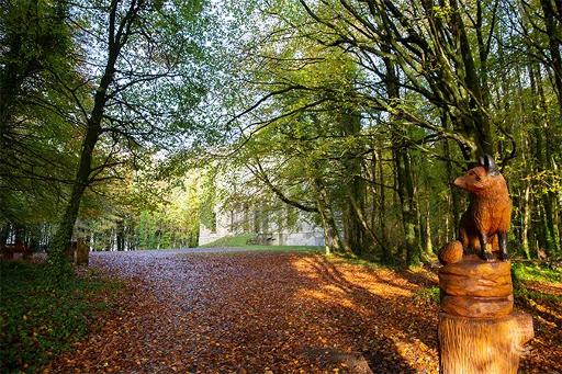 Woodland Sculptures