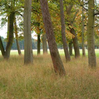 Discover the Biodiversity Centre & Furry Glen