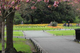 Stroll the Victorian landscape