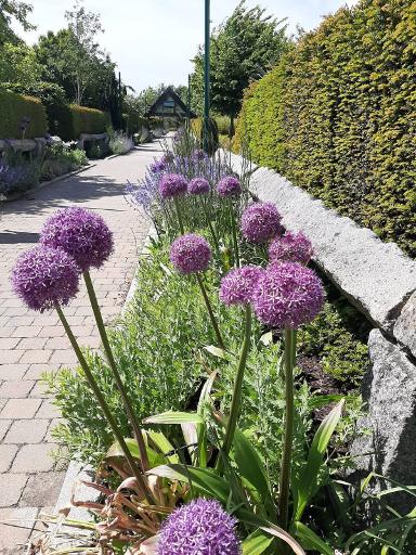 Wander the 16 themed gardens