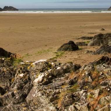 Geology & Fossil Hunting